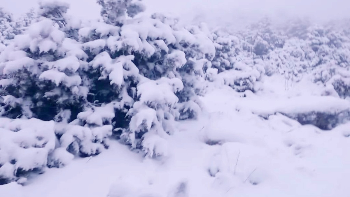Nevadas en la provincia de Albacete - FOTO: Manuel Ruiz / Antonio López
