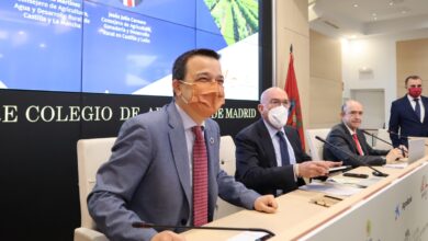 Castilla-La Mancha espera poder poner en producción 600.000 hectáreas de barbecho para cultivos como el girasol ante las necesidades por la guerra de Ucrania / JCCM