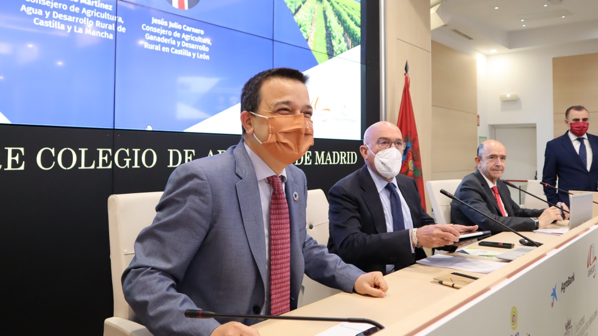 Castilla-La Mancha espera poder poner en producción 600.000 hectáreas de barbecho para cultivos como el girasol ante las necesidades por la guerra de Ucrania / JCCM