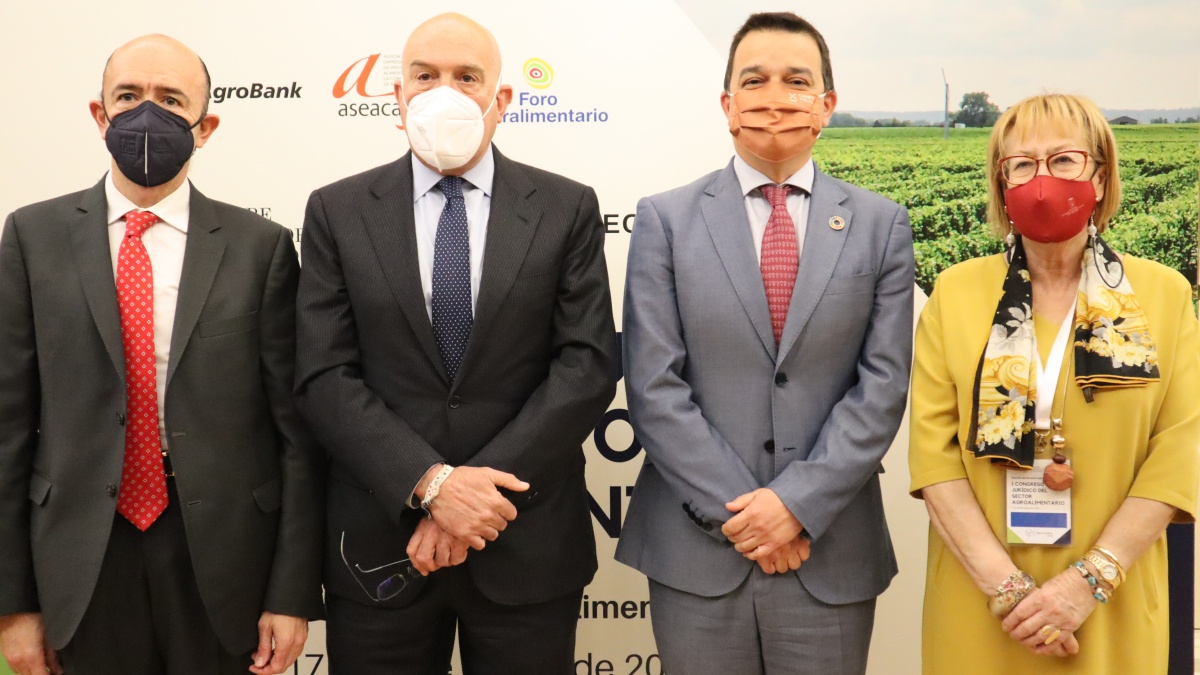 Castilla-La Mancha espera poder poner en producción 600.000 hectáreas de barbecho para cultivos como el girasol ante las necesidades por la guerra de Ucrania / JCCM