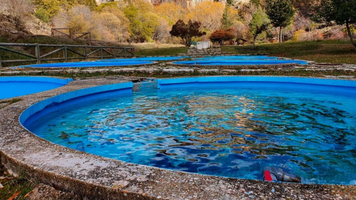 Piscifactoría en Castilla-La Mancha
