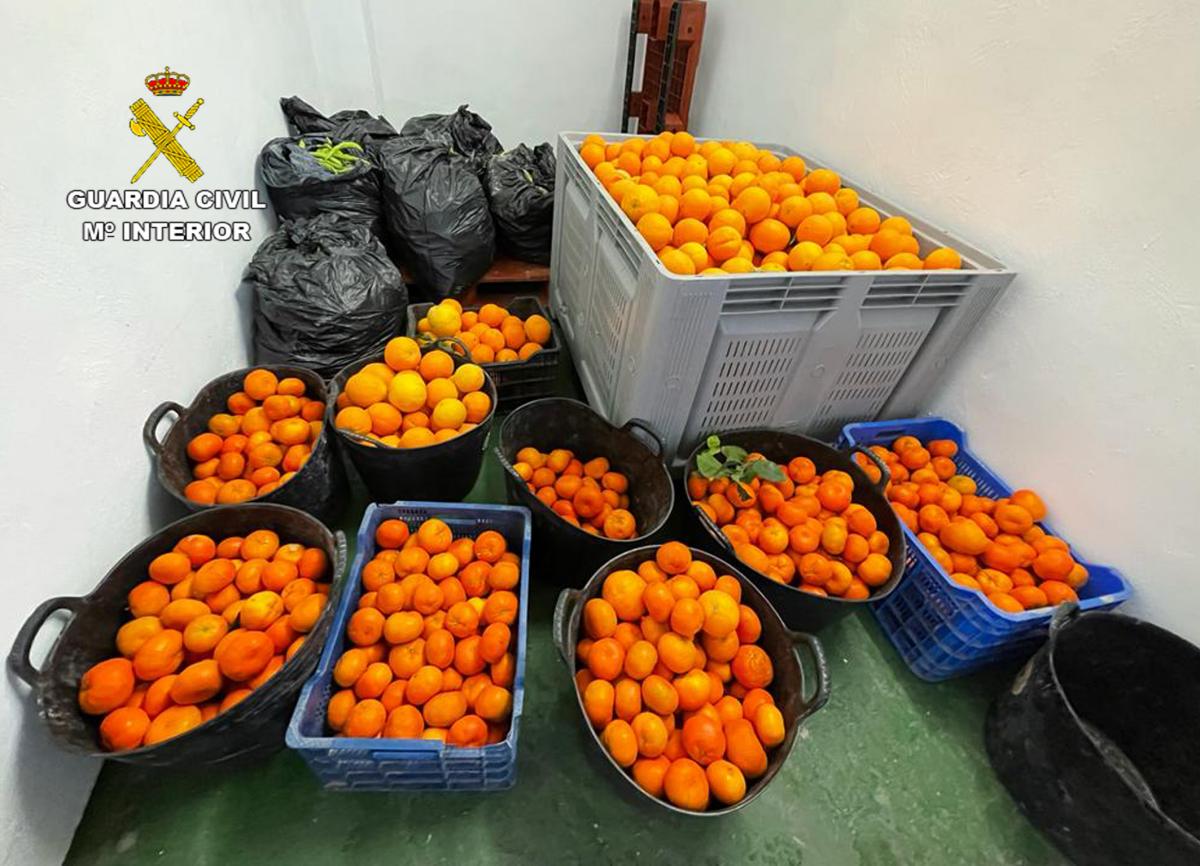 Golpe en Albacete y Murcia a una banda que vendía en mercadillos fruta y verdura robada