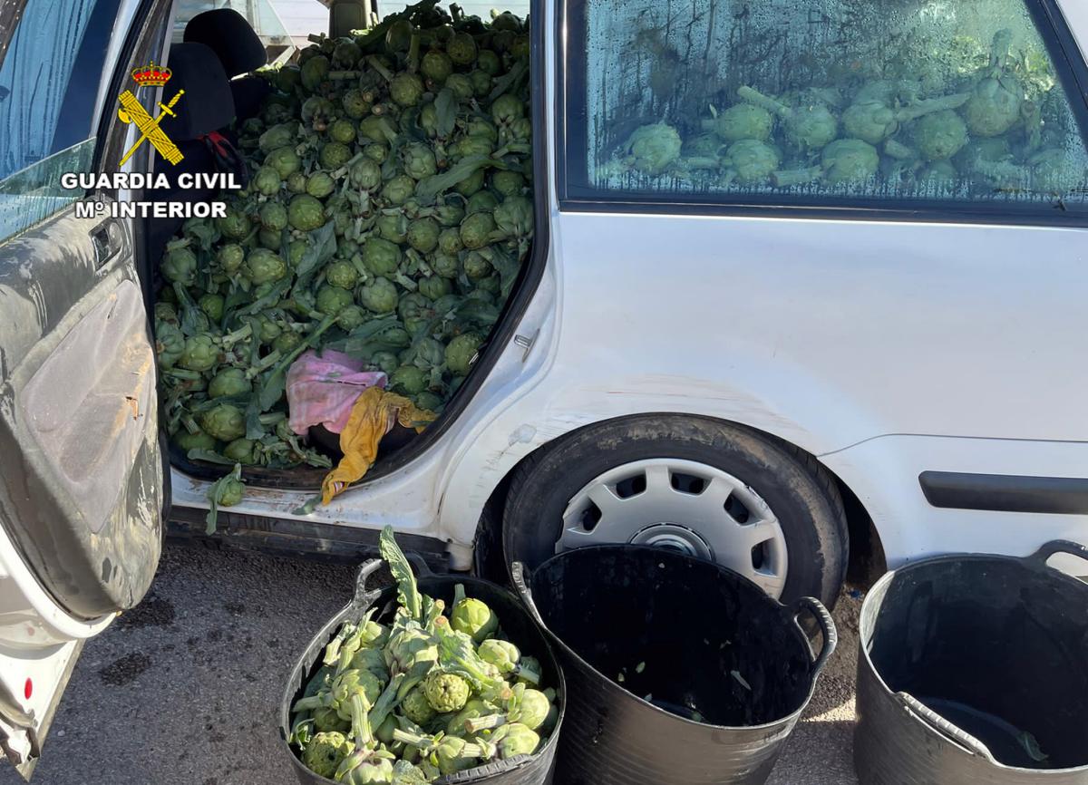 Golpe en Albacete y Murcia a una banda que vendía en mercadillos fruta y verdura robada