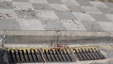 Rastros de sangre en una calle de Nohales (Cuenca) donde un varón de 43 años ha sido detenido como autor de la muerte de una mujer de 47 años. EFE/José del Olmo