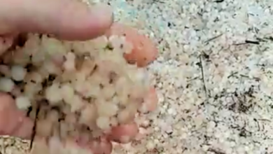 Granizada en Albacete