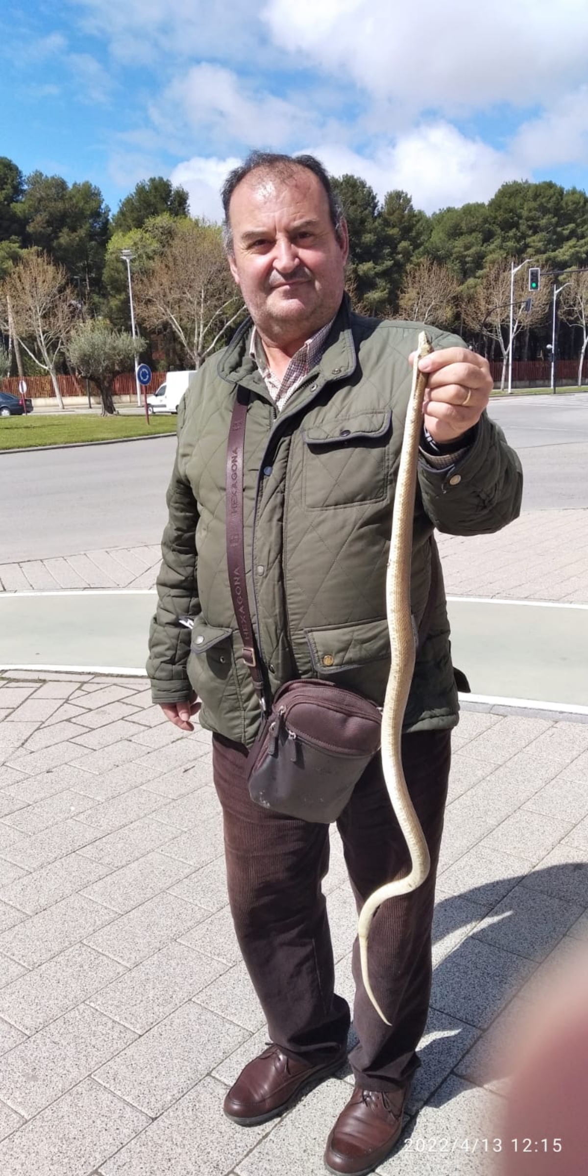 Encuentra una serpiente en Albacete