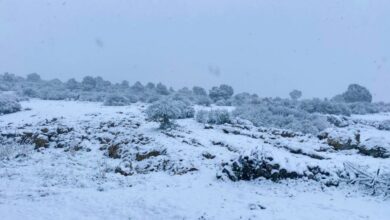 Nevada en la sierra de Albacete - FOTO: Raúl González