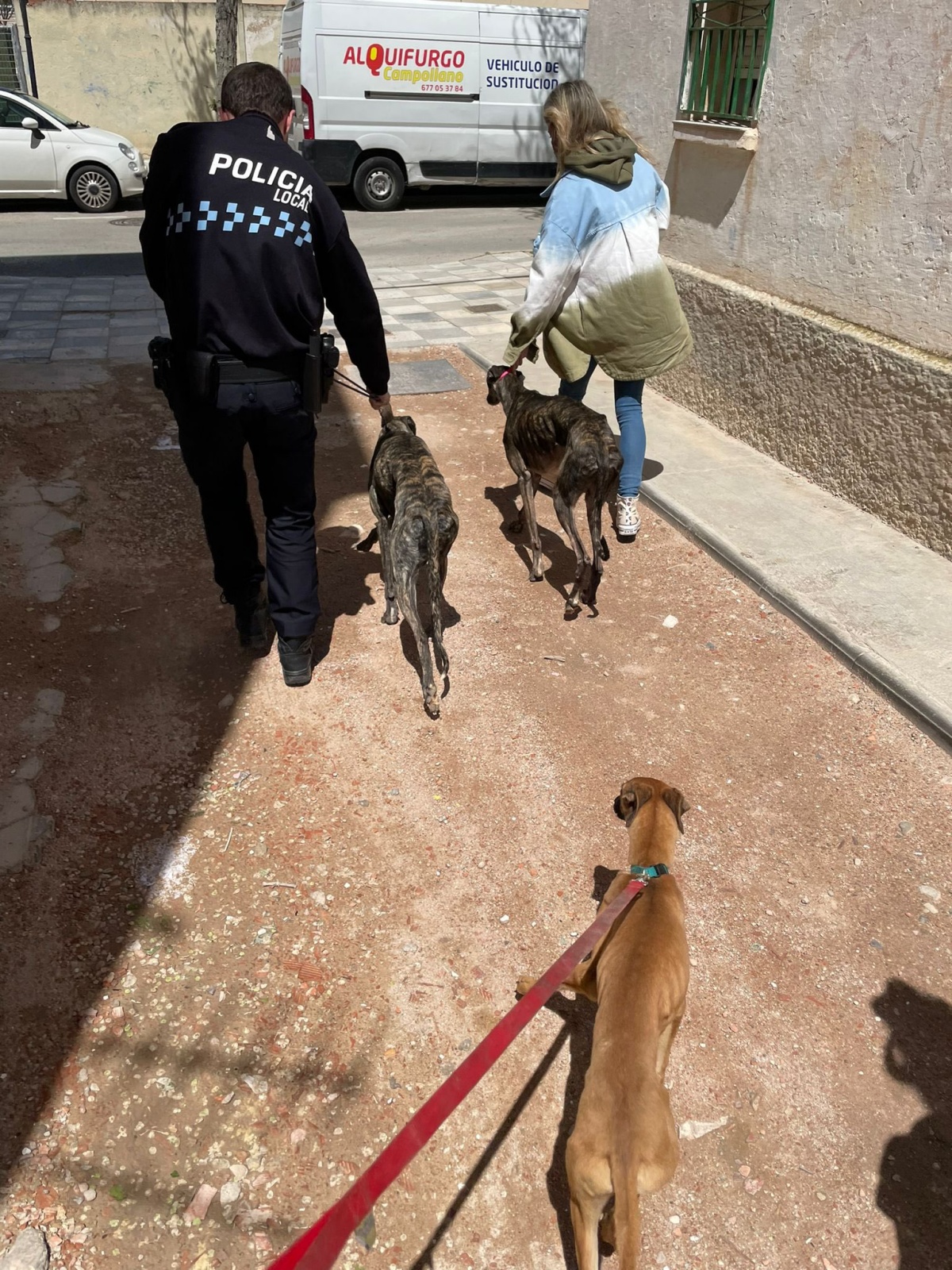 La Policía Local de Albacete colabora para mejorar las condiciones de vida de estos perros / Imagen: Policía Local de Albacete