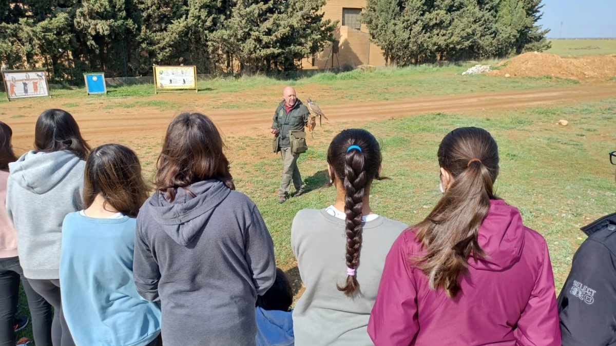 Acercan el conocimiento de las aves rapaces a los escolares de la provincia de Albacete