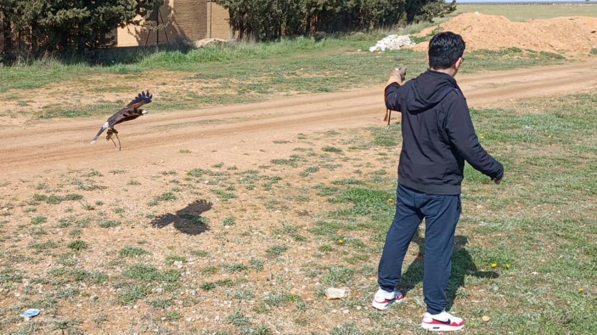 Acercan el conocimiento de las aves rapaces a los escolares de la provincia de Albacete