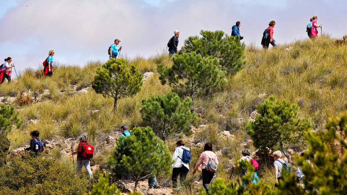 Fuentealbilla sorprendió a los participantes de la Ruta de Senderismo de la Diputación de Albacete