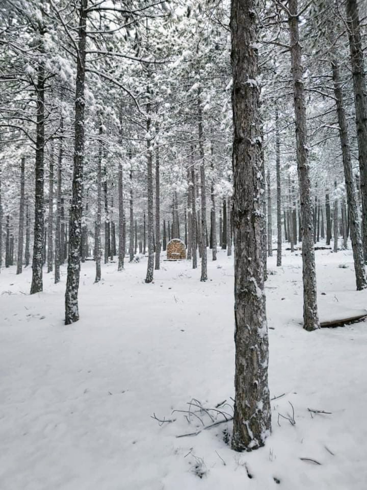 Nieve en Nerpio /Ana Belén Álvarez