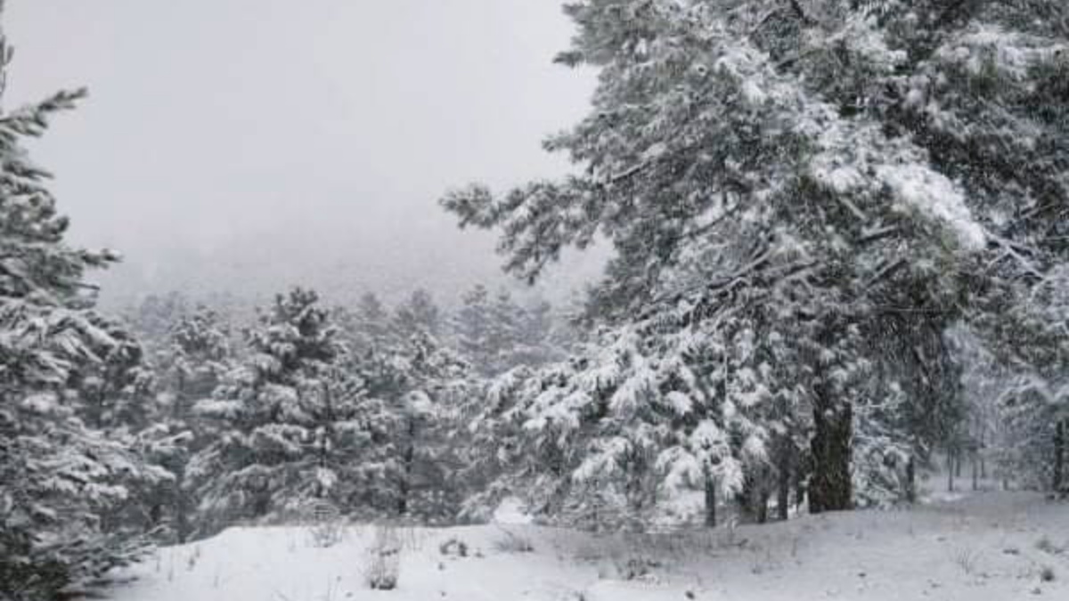 Nieve en Nerpio /Ana Belén Álvarez