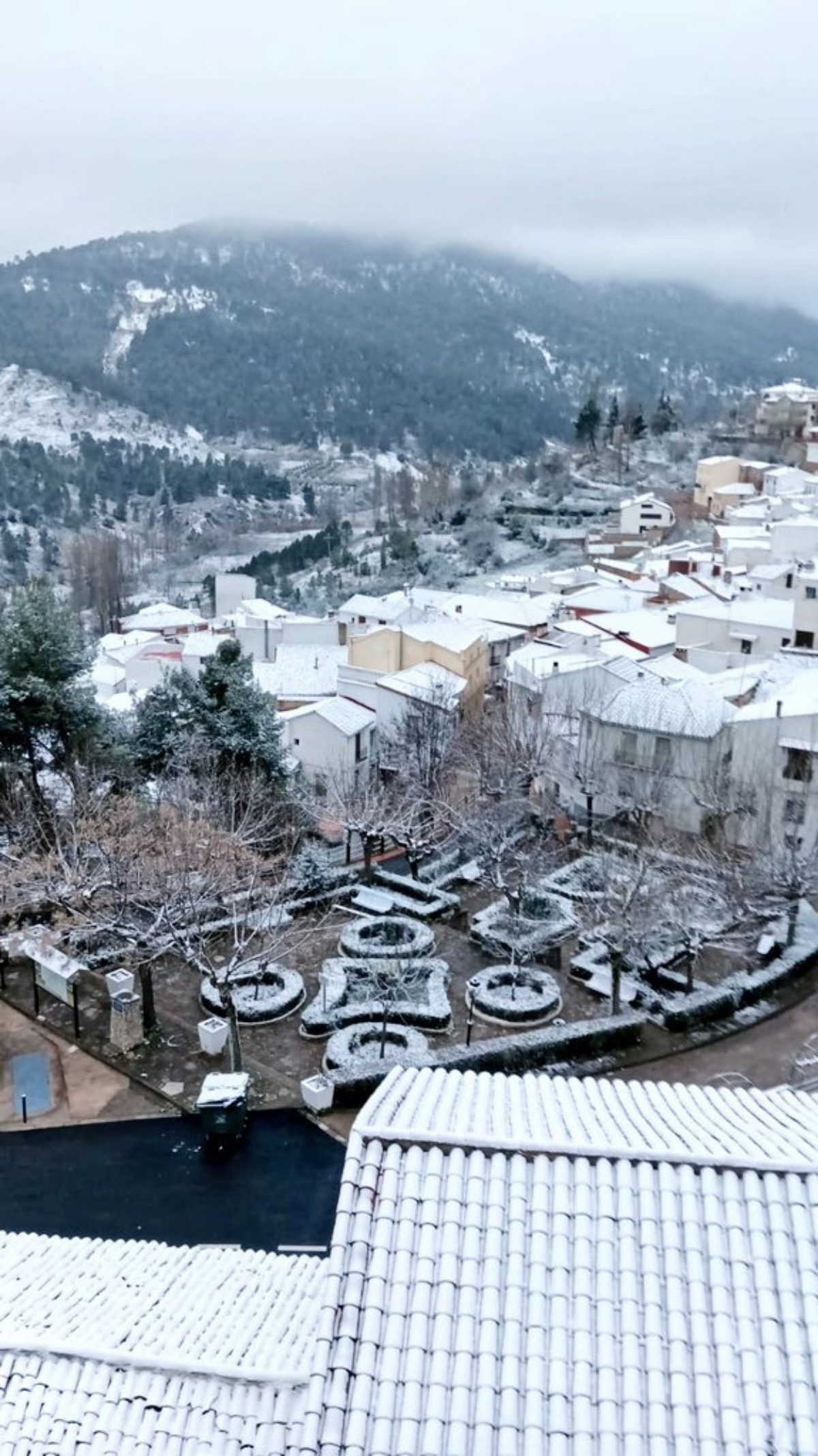 Nieva en la provincia de Albacete / Imagen: Meteo Hellín
