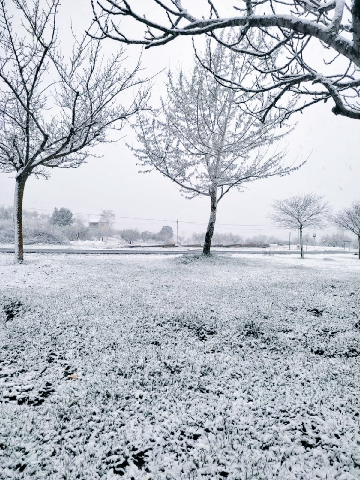 Nieva en la provincia de Albacete / Imagen: Meteo Hellín