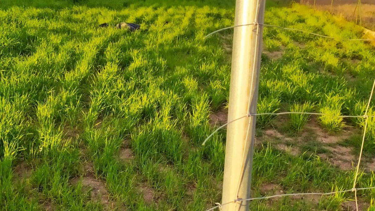 Los vecinos de esta zona de Albacete “atemorizados” ante una nueva oleada de robos