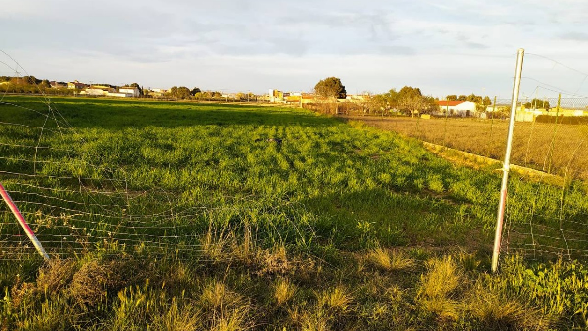 Los vecinos de esta zona de Albacete “atemorizados” ante una nueva oleada de robos