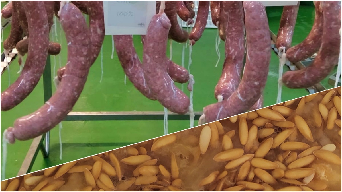 Fuet hecho con aceite de pepitas de melón 'Made in Albacete'