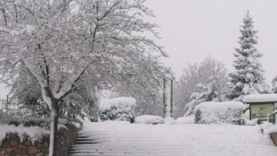 Foto nieve en El Bonillo