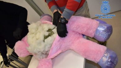 Marihuana oculta en peluches en Castilla-La Mancha