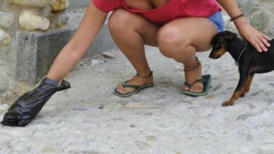 Una mujer recoge los excrementos de su perro en Albacete