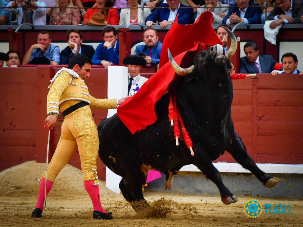 Sergio Serrano en Las Ventas, no tocó pelo el de Albacete