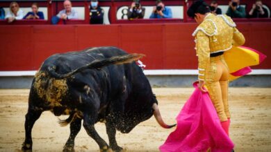 Sergio Serrano en Las Ventas, no tocó pelo el de Albacete