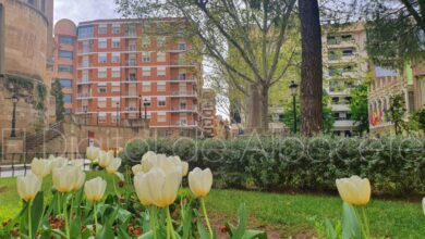 Primavera en Albacete
