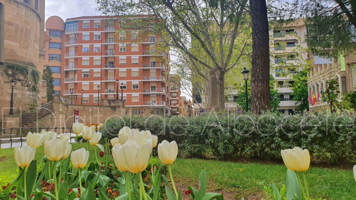 Primavera en Albacete