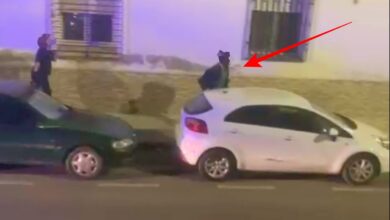 Detenido por la Policía Nacional en Albacete