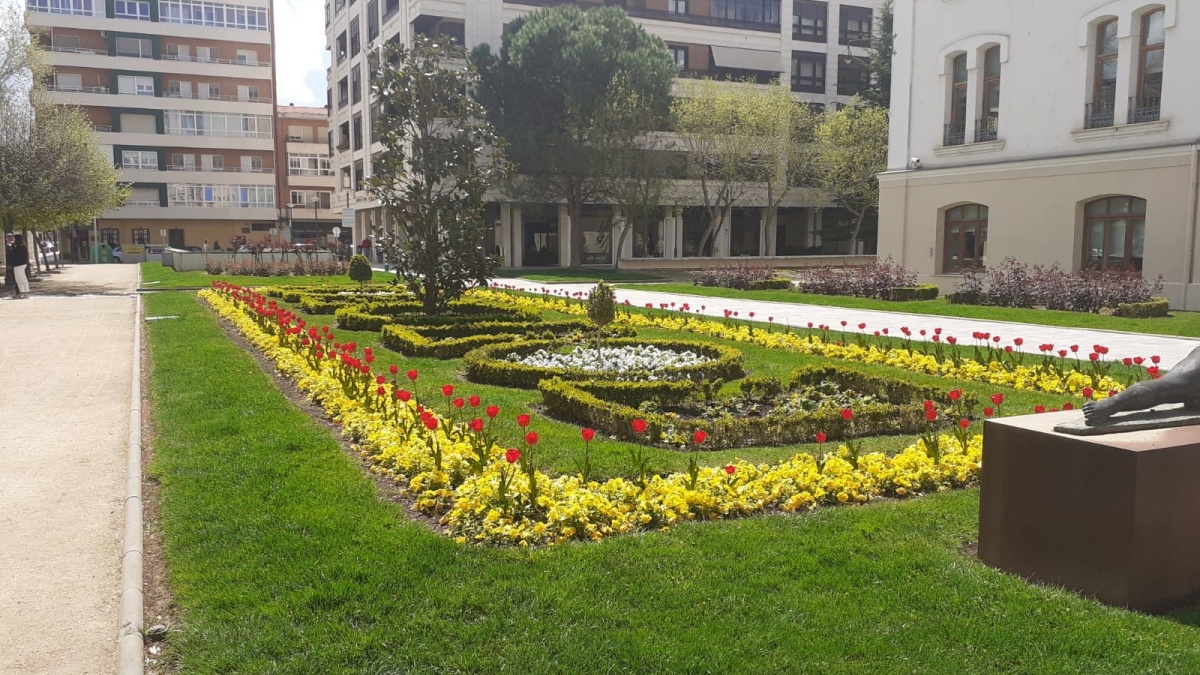 Flores en Albacete / Ayto Albacete
