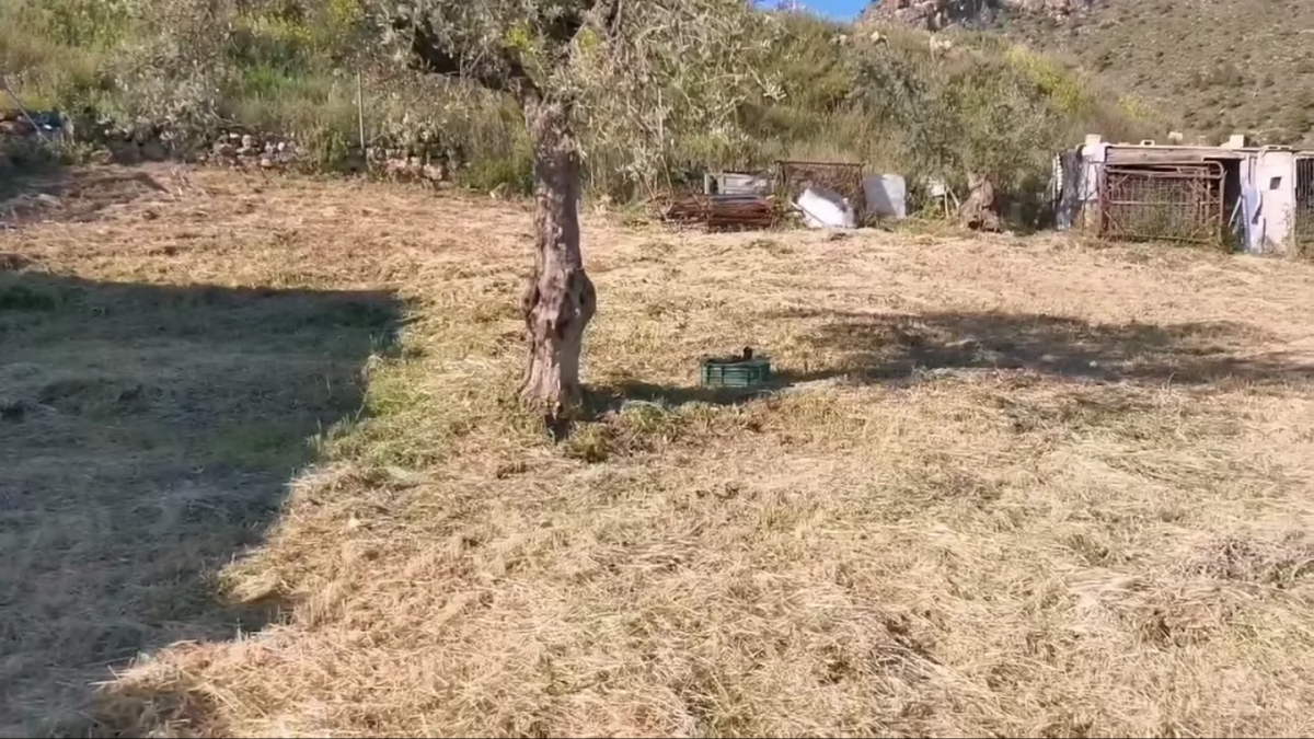 El terreno en el que aparecía esta granada en la provincia de Albacete / Foto: Cristina Alcázar