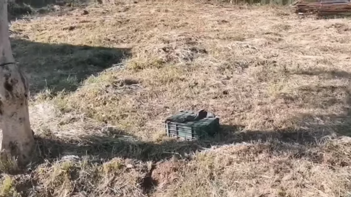 La Guardia Civil acordonó y señalizo la zona del hallazgo en la provincia de Albacete / Foto: Cristina Alcázar