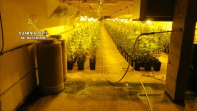La Guardia Civil desmantela varias plantaciones de marihuana “indoor” en Castilla-La Mancha / Guardia Civil