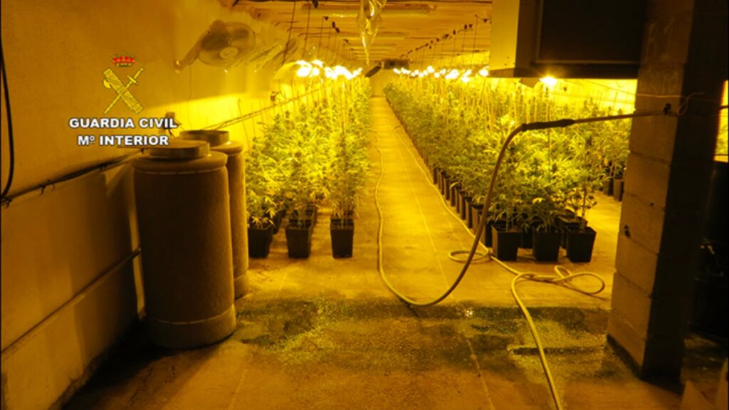 La Guardia Civil desmantela varias plantaciones de marihuana “indoor” en Castilla-La Mancha / Guardia Civil