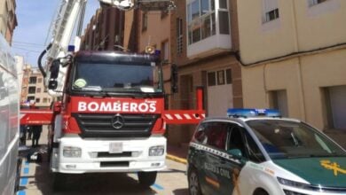Bomberos y Guardia Civil participan en Almansa (Albacete) en el rescate de un vencejo