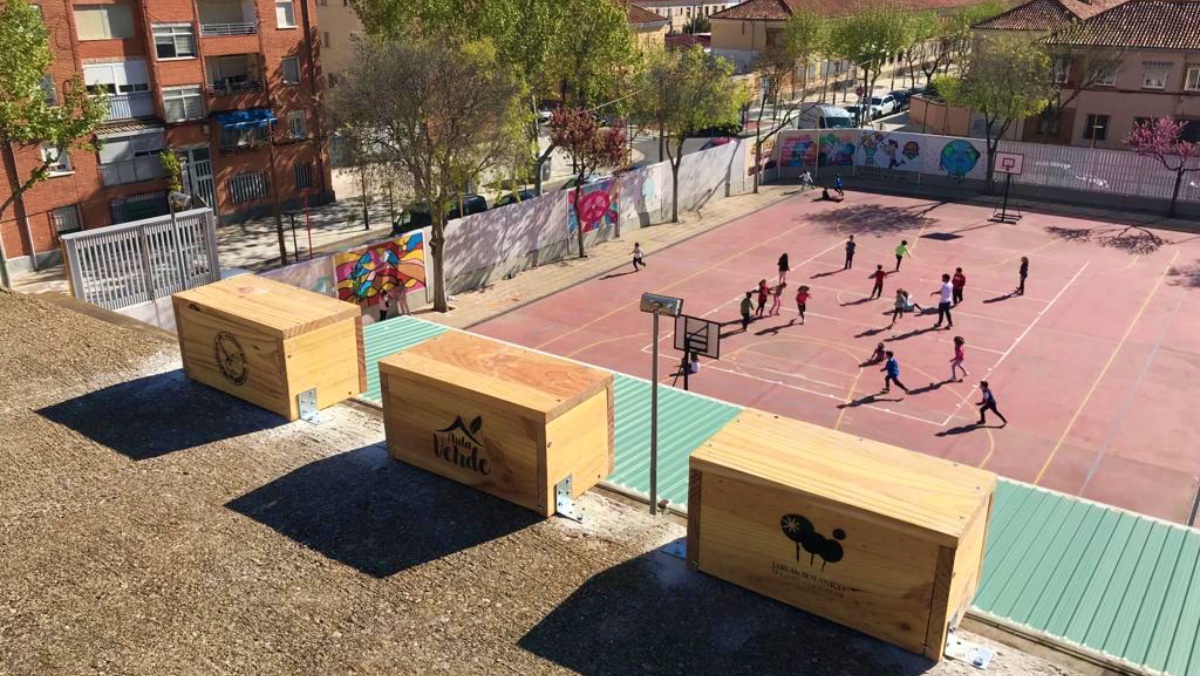 Cajas nido en un colegio de Albacete