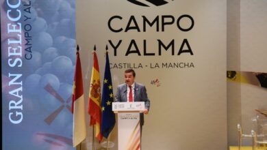 El consejero de Agricultura, Agua y Desarrollo Rural, Francisco Martínez Arroyo / JCCM