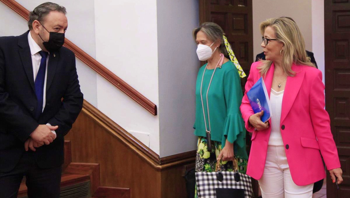 Merino y Guarinos, PP de Castilla-La Mancha