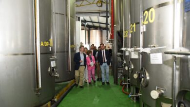 El consejero de Agricultura de Castilla-La Mancha / JCCM