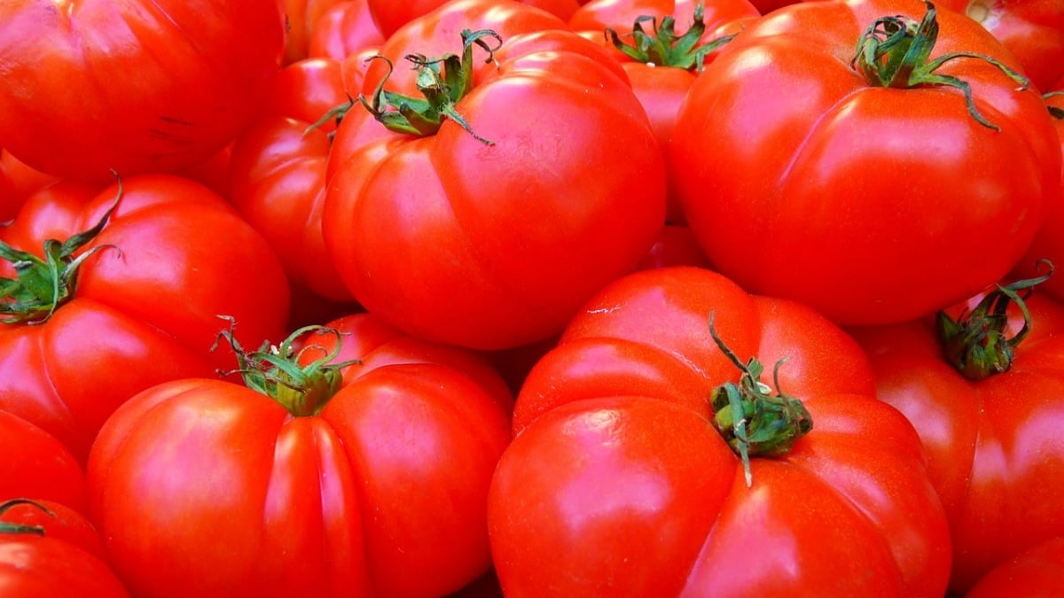 Vendía tomates en Albacete de manera ilegal
