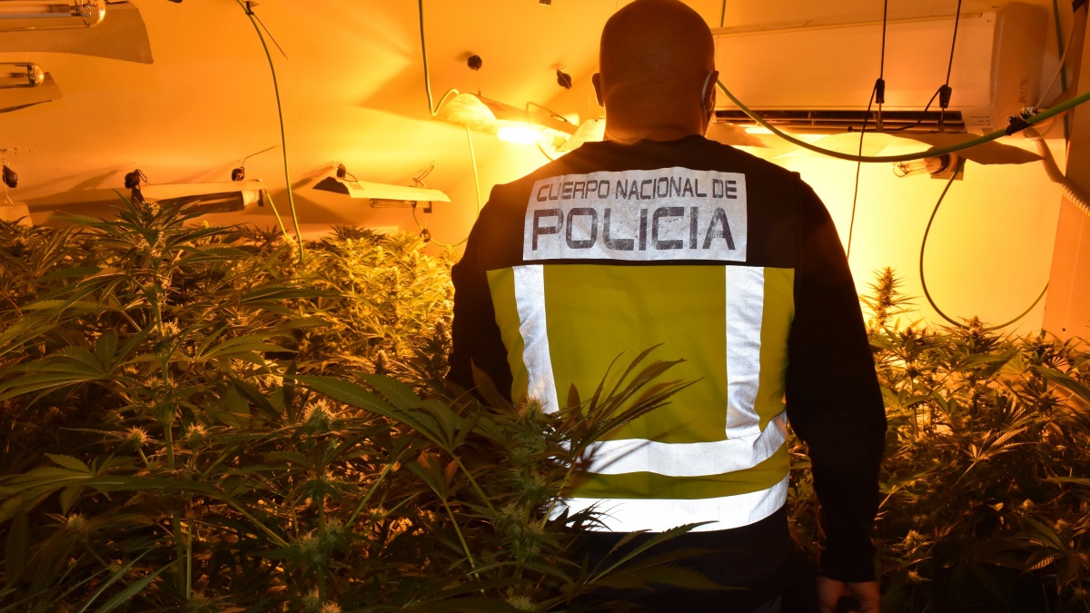 Operación antidroga en Toledo y Madrid / Foto de archivo POLICÍA NACIONAL