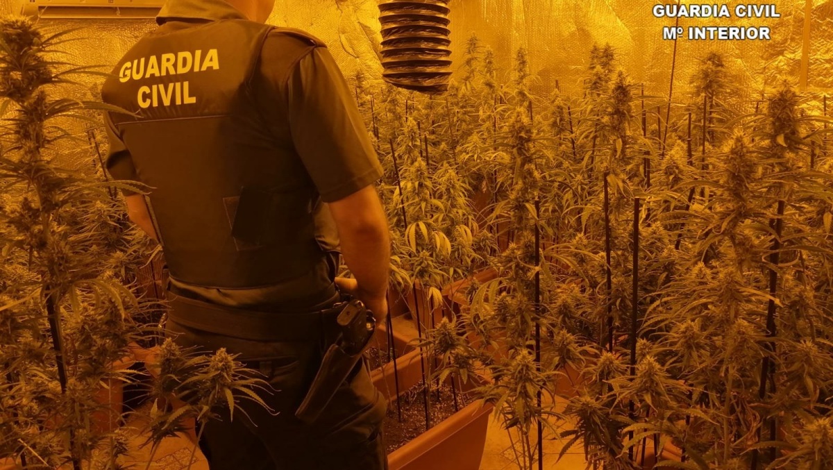 Intervención de la Guardia Civil en Castilla-La Mancha