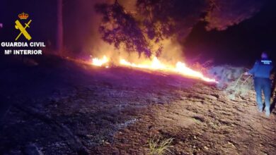 Incendio forestal en Castilla-La Mancha