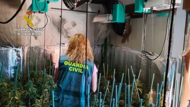 La Guardia Civil detiene en Castilla-La Mancha a dos personas por tráfico de drogas / GUARDIA CIVIL