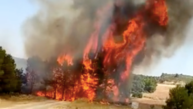 Incendio forestal en Almansa / Almansa Emergencias