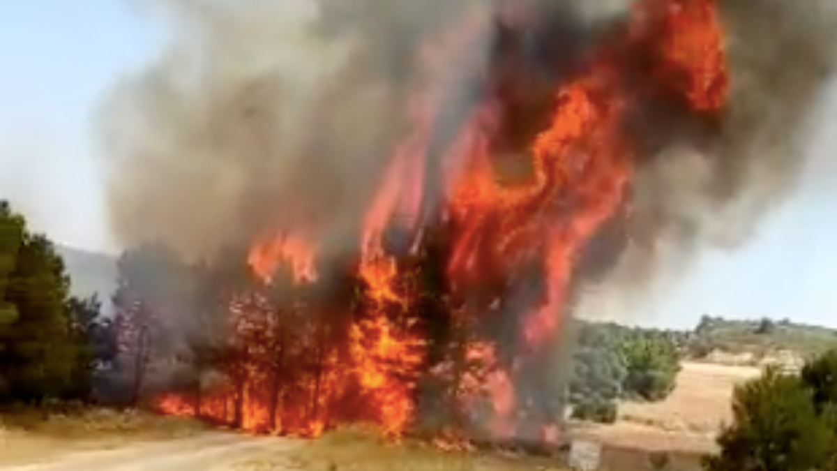 Incendio forestal en Almansa / Almansa Emergencias