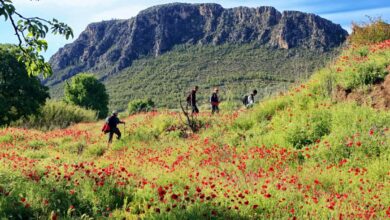 Senderismo en Elche de la Sierra