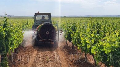 Labores agrícolas en Albacete