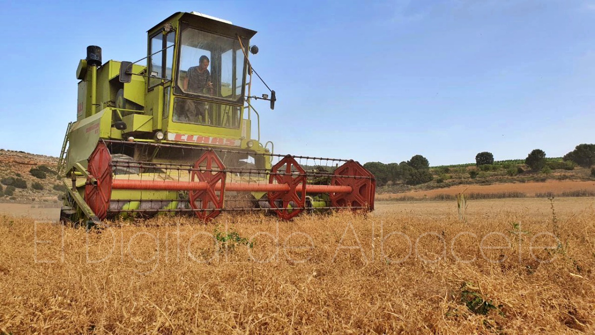 Agricultura en la provincia de Albacete